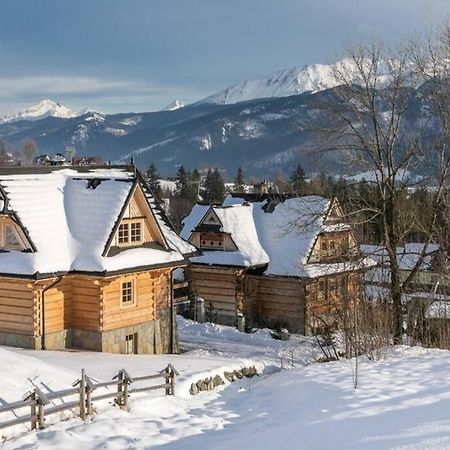 Willa Pitoniowka Z Sauna, Netflix Oraz Xbox One Kościelisko Buitenkant foto