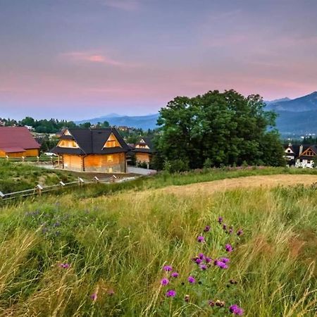 Willa Pitoniowka Z Sauna, Netflix Oraz Xbox One Kościelisko Buitenkant foto