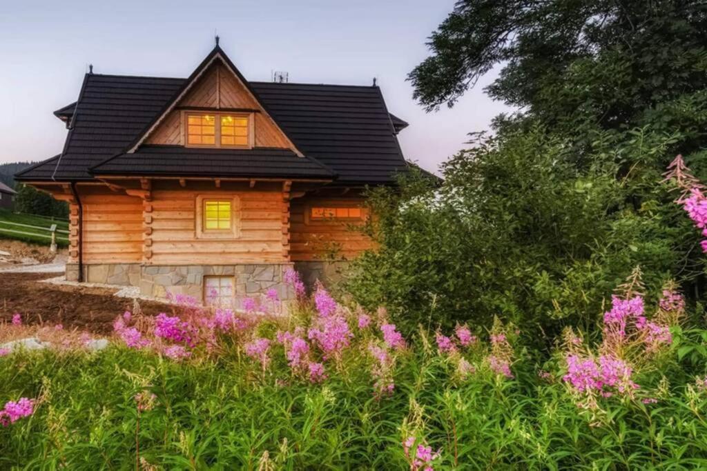 Willa Pitoniowka Z Sauna, Netflix Oraz Xbox One Kościelisko Buitenkant foto